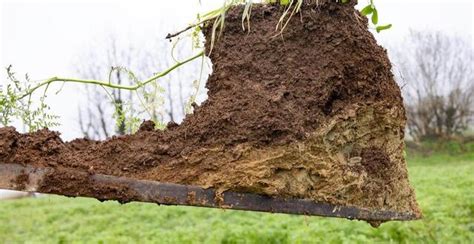 Préserver leau et sa qualité les agriculteurs du pays de Châteaulin