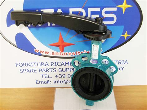 Butterfly Valve Desponia DN65 InterApp Antares Italy