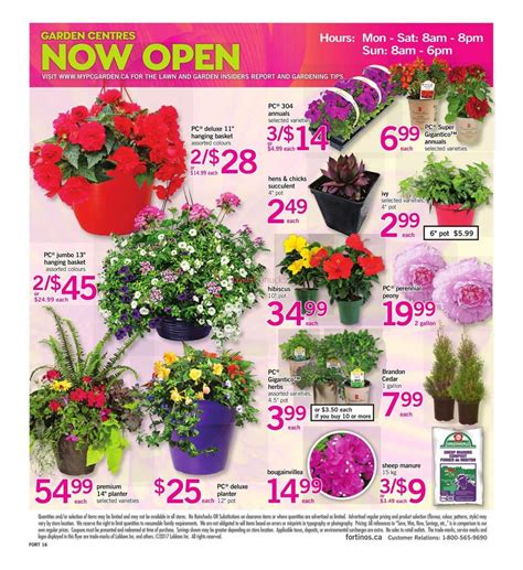 Fortinos Flyer May 25 To 31