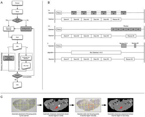 Complete Scanning Workflow And Sequence Of Processes A Illustration