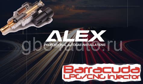 Форсунки Barracuda (Барракуда), описание, характеристики, отзывы