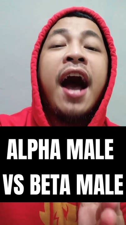 Alpha Male Vs Beta Male Youtube