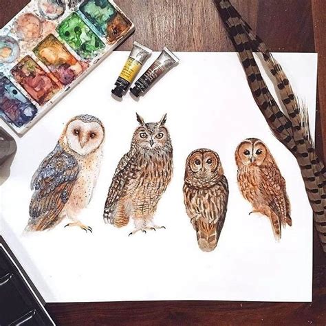 Owl Family Art Paintings