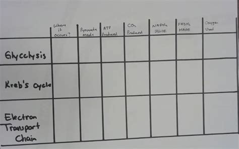 Chapter 5 graph Diagram | Quizlet 