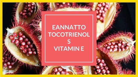 PPT Best Tocotrienols Vitamin E PowerPoint Presentation Free