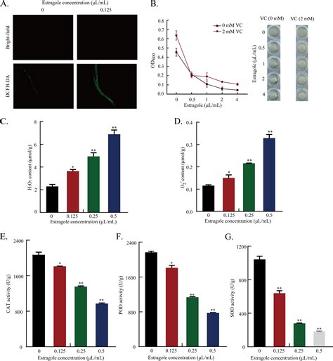 Estragole Inhibits Growth And Aflatoxin Biosynthesis Of Aspergillus