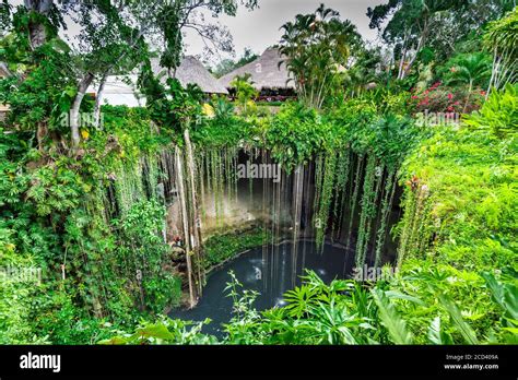 Cenote hi-res stock photography and images - Alamy