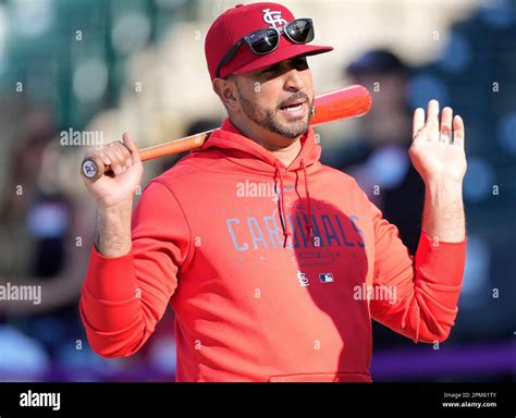 St Louis Cardinals Manager Oliver Marmol Warms Up Before A