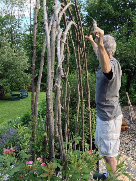 How To Build A Rustic Trellis Ellen Ecker Ogden