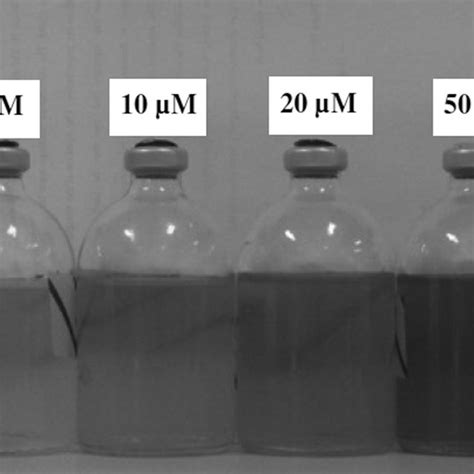 Tem Images Of Thin Sections Of S Oneidensis Mr Cells Grown For H