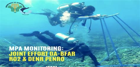 PIA BFAR Sea Divers Assess CagVal S Coral Reefs Condition Fisheries