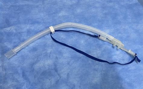 High Flow Nasal Cannula Hfnc Adult At Rs 450piece Nasal Cannula In Chennai Id 2850529315888