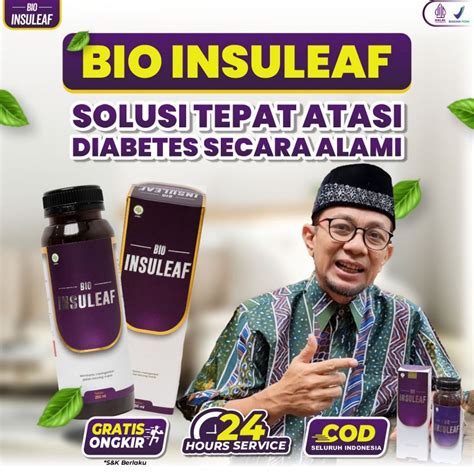 Jual Bioinsuleaf Herbal Atasi Kencing Manis Diabetes Melitus Cegah Gula