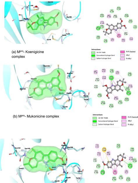 The 3d And 2d Molecular Interaction Diagrams Of The Best Docking Poses