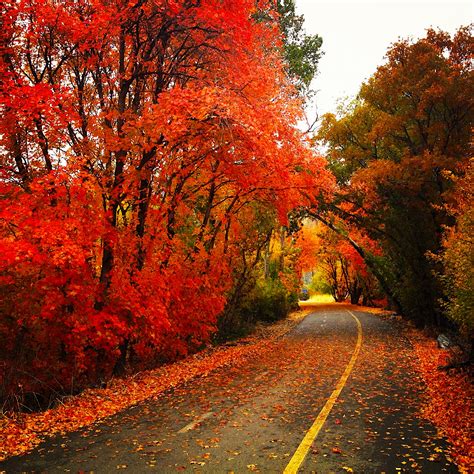 Its Fall Time Up The Provo Canyon Kelsey Bang