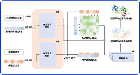 Ai助力抗体结构预测，晶泰科技与idea研究院合作取得重要进展深圳新闻网