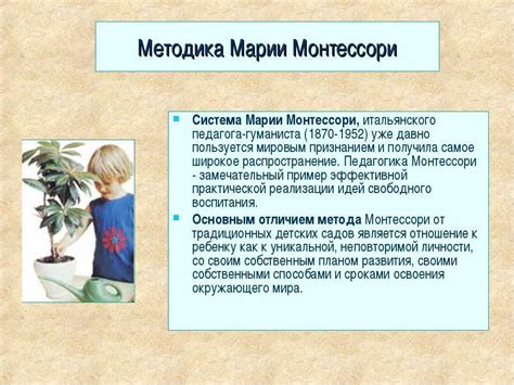 Система педагогики м монтессори