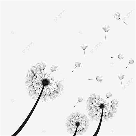 Dandelion Blowing In The Wind Drawing