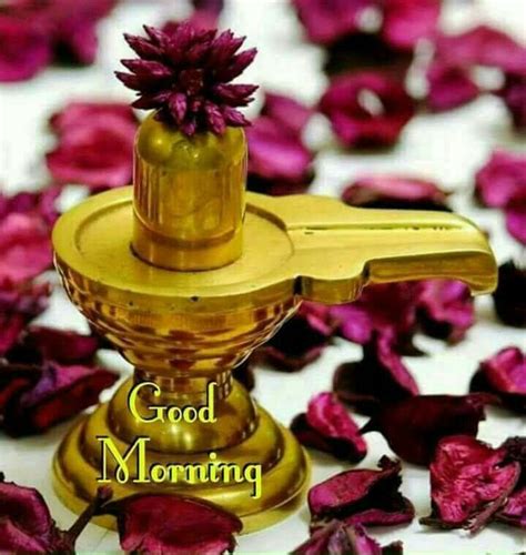 शिवलिंग Linga Good Morning🙏🏻 💫ॐz ️nspicec🌶🦋dec2018💕 Shiva