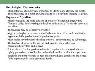 Food Microbiology Mold Morphological Cultural Physiological