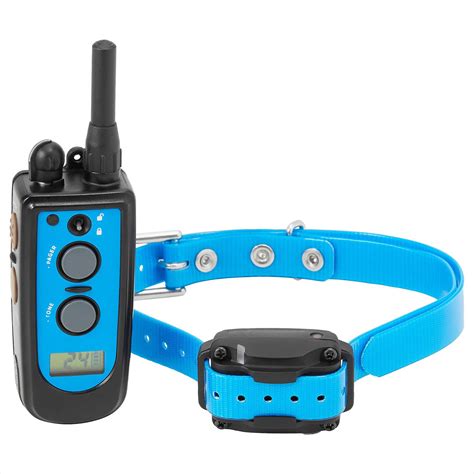 10 Best Electric Dog Training Collars 2023: According to Reviews | Chewy