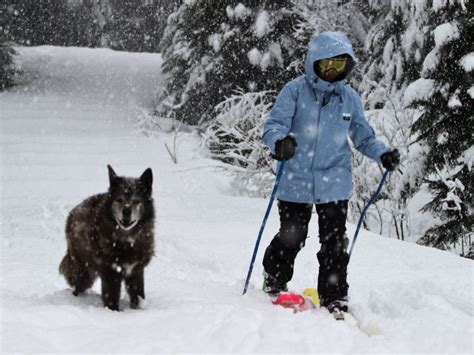 Pedal Down Top Off Nude Road Tripping Is A Thing And It Rules Mountain Life