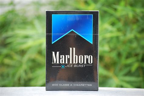 MARLBORO MENTHOL BLUE/ICE BLAST FTB – Nesabel Online – Branch