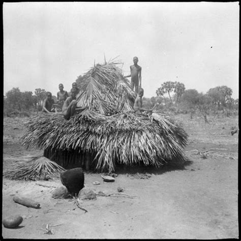 Mandari Youths Thatching Hut From The Southern Sudan Project