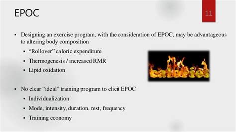 Human Energy Transfer During Exercise