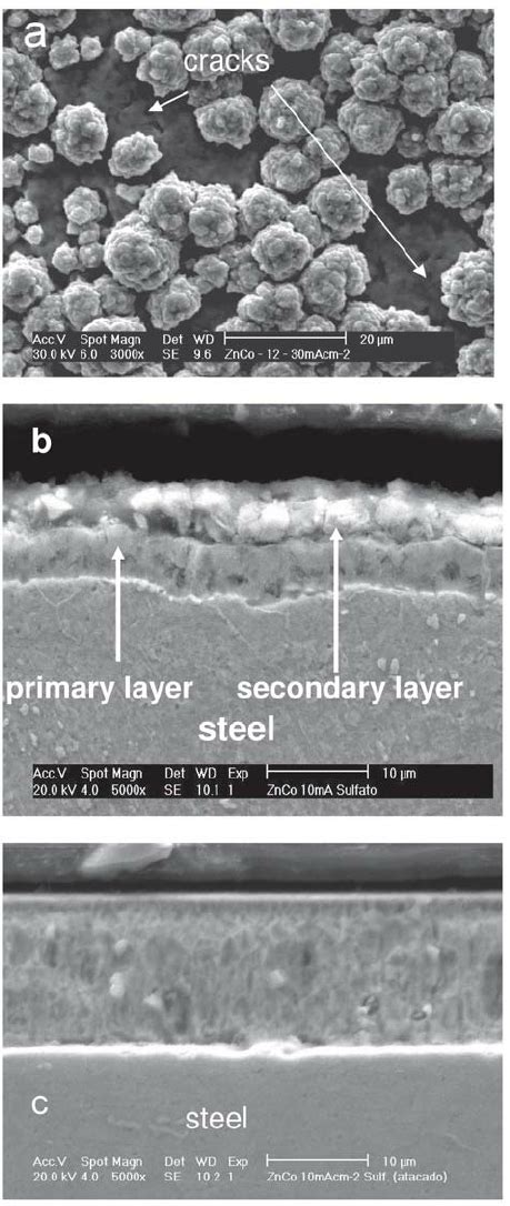 Sem Images Showing The Surface Morphology A And The Cross Section