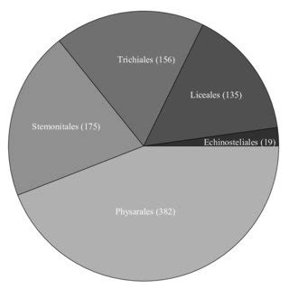 (PDF) Life history strategies of corticolous myxomycetes: The life ...