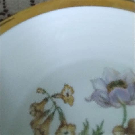 Mitterteich Accents Vintage Mitterteich Bavaria China Floral Plate