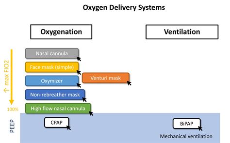 High Flow Oxygen Delivery Systems Atelier Yuwa Ciao Jp