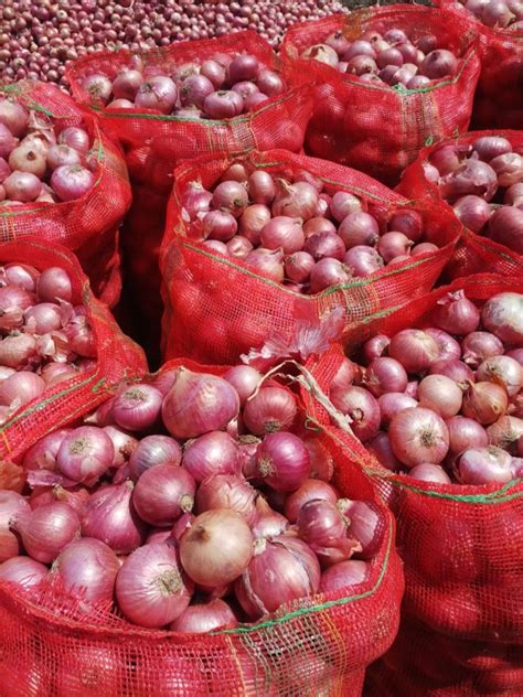 Shallots Onion A Grade Red Onion Onion Size Available 45 MM 70 MM