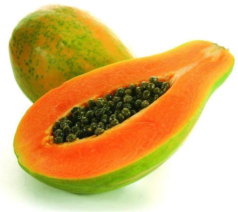 Maradol Caribbean Red Papaya Tropical Fruit Tree Heirloom Non Gmo