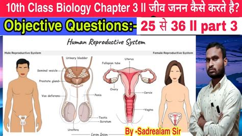 10th Class Biology Chapter 3 Objective Question Part 3 Ll जीव जनन कैसे