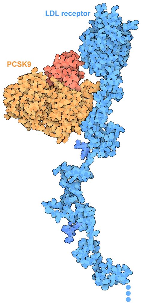 Pdb 101 Learn Exploring The Structural Biology Of Health And Nutrition