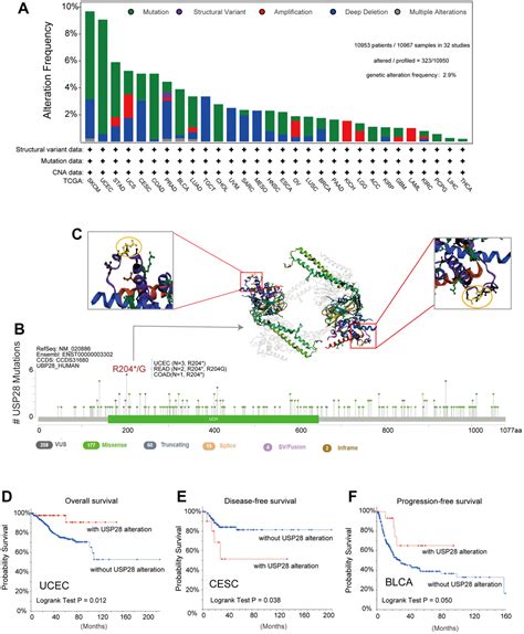 Comprehensive Prognostic And Immunological Analysis Of Ubiquitin