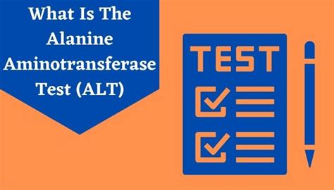 What Is Alanine Aminotransferase Test (ALT) Blood Test