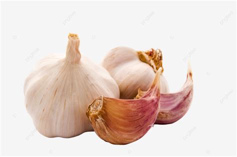 Garlic Food Garlic Allium Isolated Spices Garlic Bulb PNG