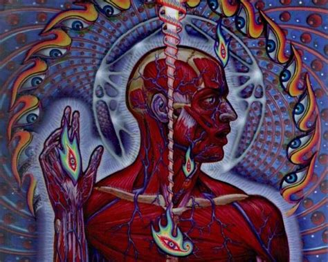 Tool Lateralus Google Search Tool Band Artwork Tool Artwork Tool