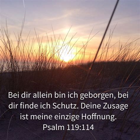 Psalm Hoffnung F R Alle Hfa Bible Outdoor Body