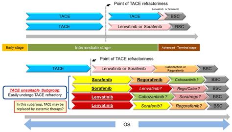 Cancers Free Full Text Systemic Therapy For Hepatocellular