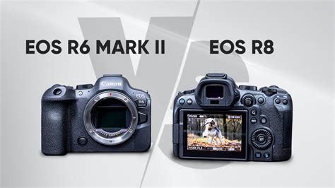 Canon Eos R6 Mark 2 Vs Canon Eos R8 Which One Should You Go For Youtube