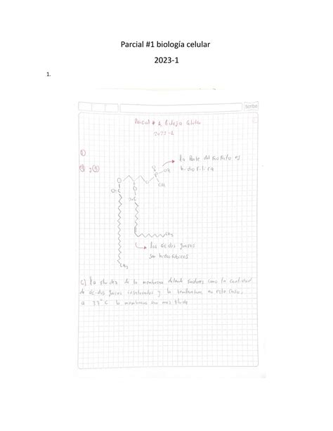 Taller Evaluativo Parcial 1 Biología Celular 2023 1 2 Para La Estructura 2 Se Utilizará