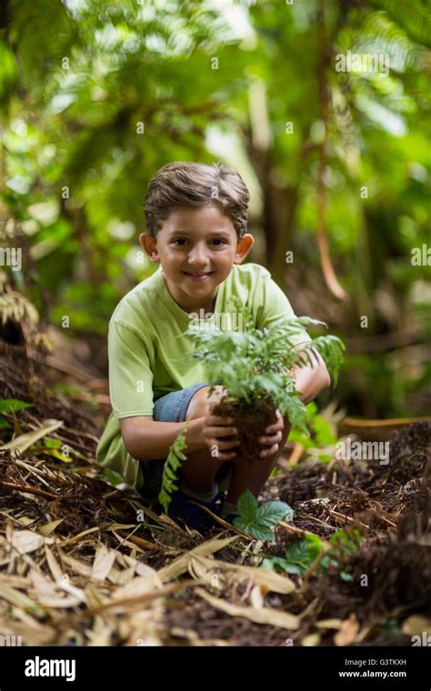 Boy Holding Sapling Plant Stock Photo Alamy