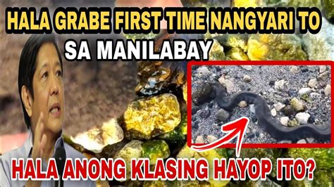 HALA GRABE FIRST TIME NANGYARI TO SA MANILABAY HALA ANONG KLASING HAYOP