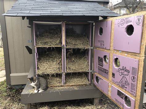 Get inspired by this community feral cat shelter building project – Artofit