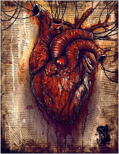 Heart By ZachSmithson On DeviantArt Human Heart Art Anatomical Heart