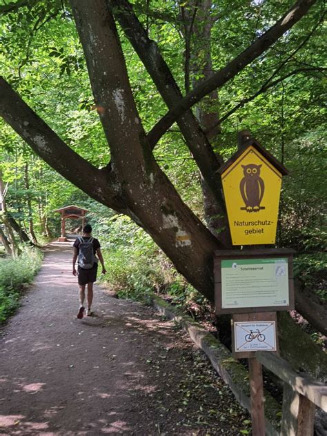 DRACHENSCHLUCHT EISENACH Grüne Magie in Thüringen